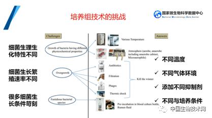 培養(yǎng)組通幽微世界，助力微生物資源大作為——記國家微生物科學數(shù)據(jù)中心網(wǎng)絡精品課網(wǎng)絡技術開發(fā)